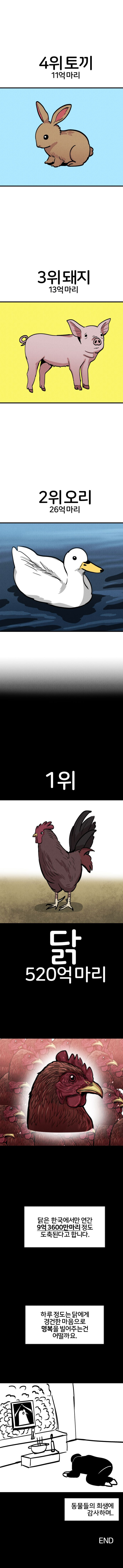 전세계 동물 도축 순위